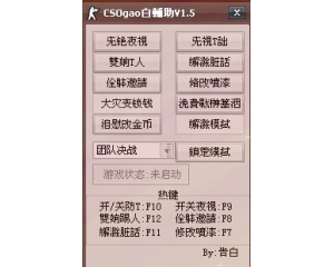 CSO告白辅助V1.5 全功能版下载