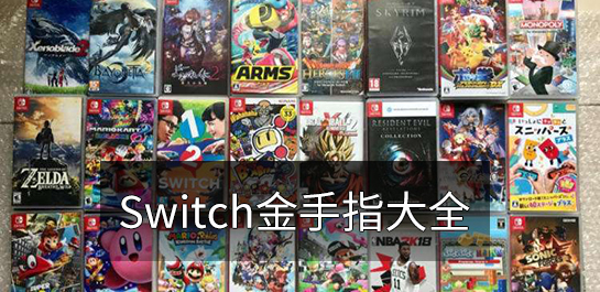 Switch金手指大全图片