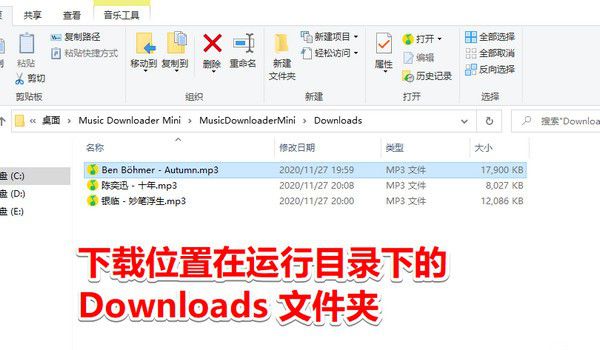 Music Downloader Mini v1.0免费版【3】
