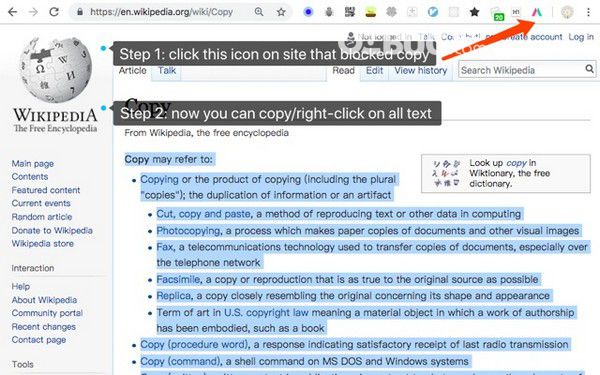 Simple Allow Copy(Chrome网页复制插件)v0.8.2绿色版【2】