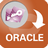 AccessToOracle(Access转oracle工具)