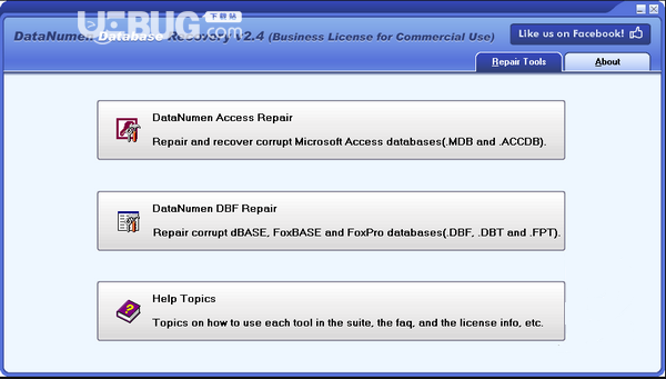 DataNumen Database Recovery(数据库恢复软件)