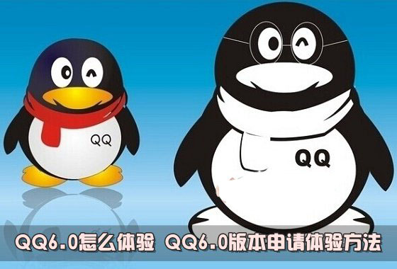 QQ6.0怎么体验 QQ6.0版本申请体验资格方法介绍