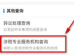 个人所得税app里如何查询涉税专业服务机构信息？