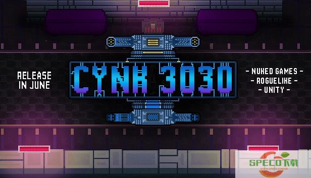 CYNK 3030游戏