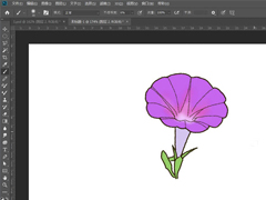 PS如何手绘牵牛花插画？Photoshop绘制牵牛花的方法