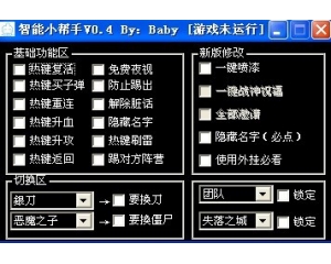 CSOL baby小帮手V0.4版_复活_改名字_隐藏名字_一键喷漆_热键刷雷