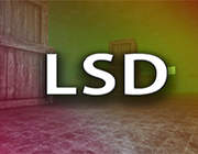 LSD 英文版