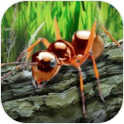 蚂蚁荒野生存模拟破解版