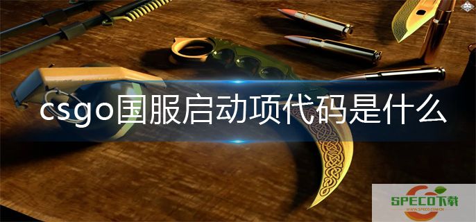 csgo国服启动项代码分享