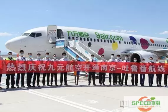 九元航空有多少飞机？九元航空座位分布图