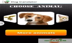 狗语翻译器那个最好 狗狗翻译器免费在线