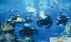 深海水族馆abyss 深海水族馆abyss：探秘海底奇观