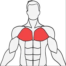 MuscleWiki最新版