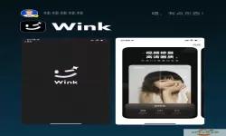如何用Wink软件去除视频字幕