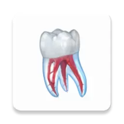 Dental Illustrations最新版下载