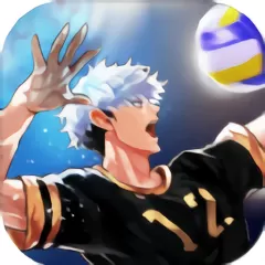 The Spike Volleyball battle官方正版
