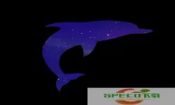 海豚星空投屏卡顿