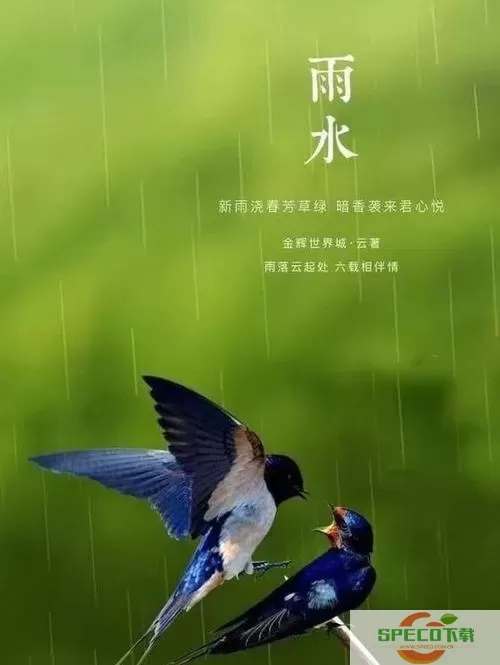 四季之春雨水那关怎么过