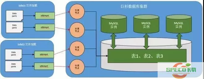 数据备份分为哪三种