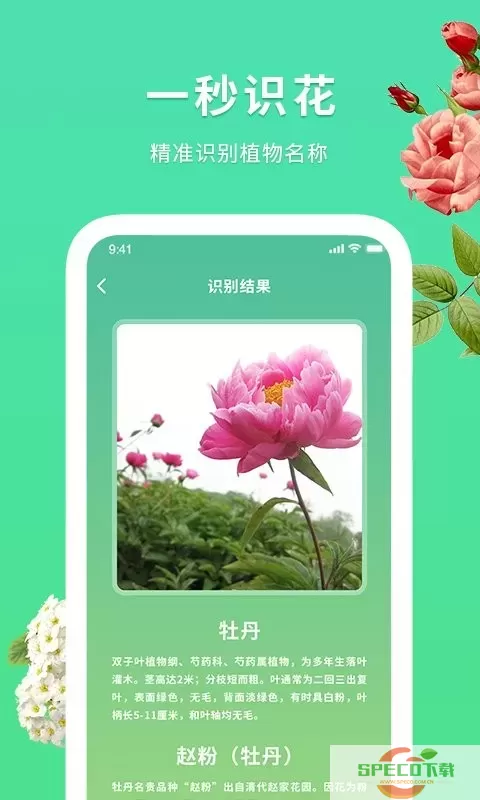 花伴识别下载最新版本