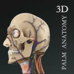 掌上3D解剖老版本下载