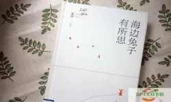 常读小说的文件夹