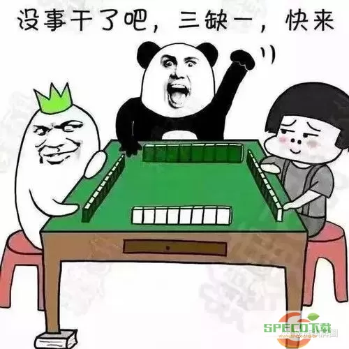 恩施麻将金顶什么意思