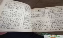 潮州音字典大全正确发音