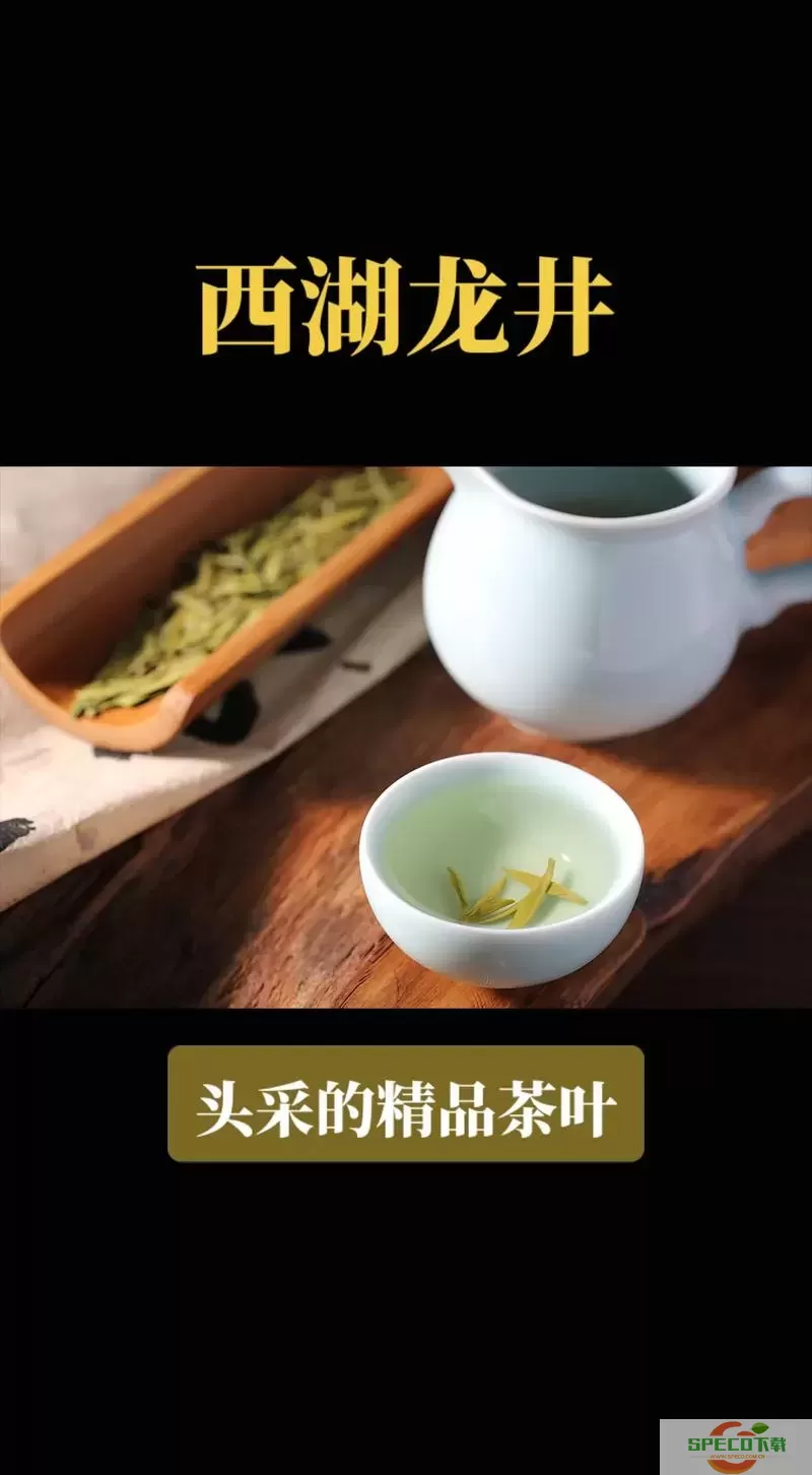 江湖中的我西湖龙井有什么用