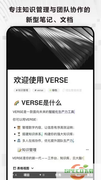 Verse软件下载