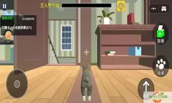 猫咪模拟器多少钱