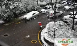 真实泊车2下雪是怎么回事