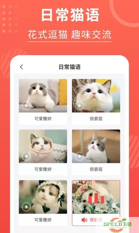 猫猫翻译器下载安装免费