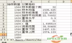 excel电子表格编辑的实训结果