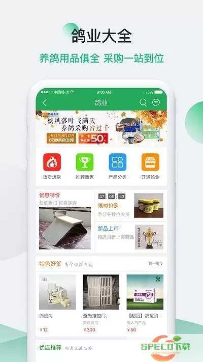 中国信鸽信息网最新版本