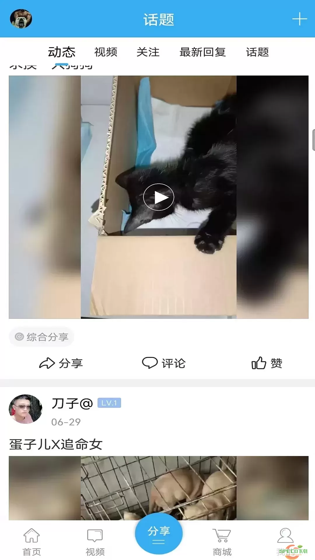 猛犬俱乐部官网版最新