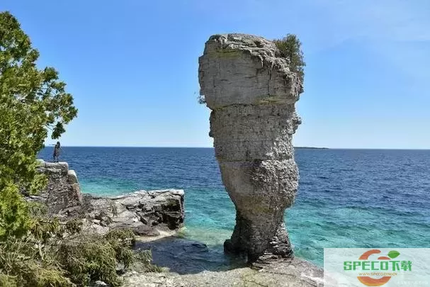 太平洋的奇迹拍摄地在哪里