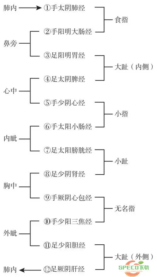 九阴真经君子怎么开经脉