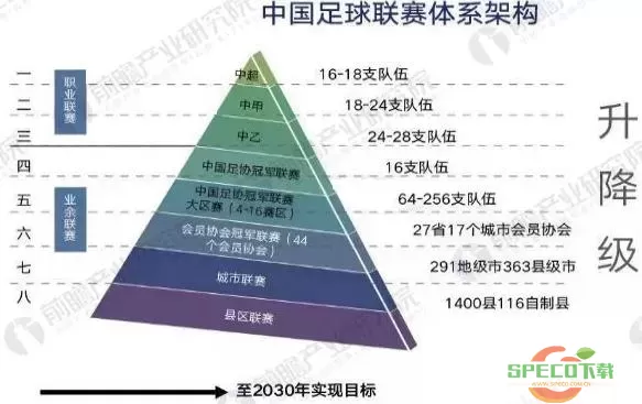 职业联赛的发展历程