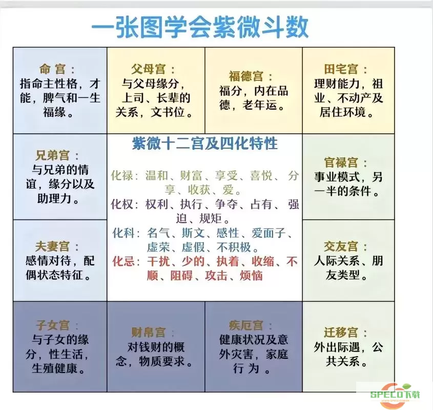 紫微斗数十二宫