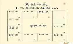 紫微斗数有多少种格局