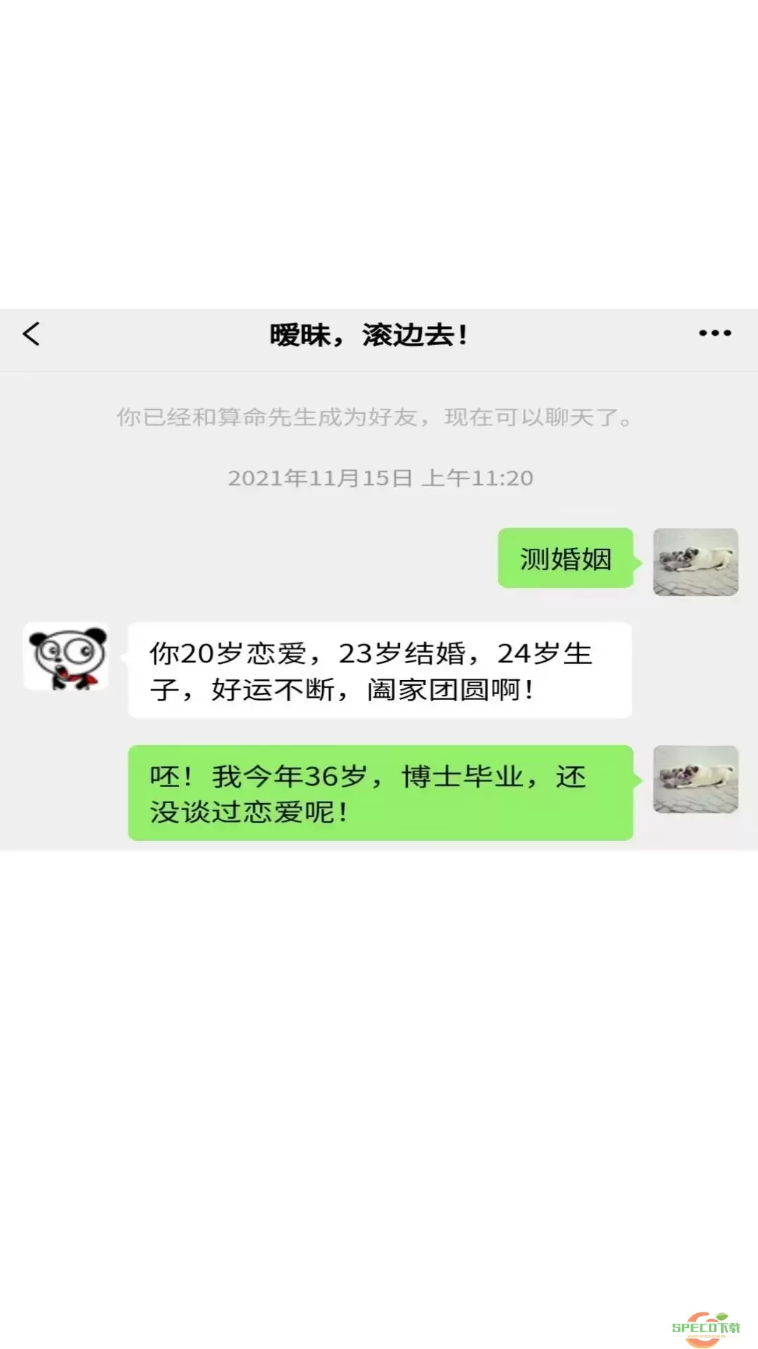 对话视频生成器官方版下载