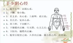 九阴真经经脉怎么修