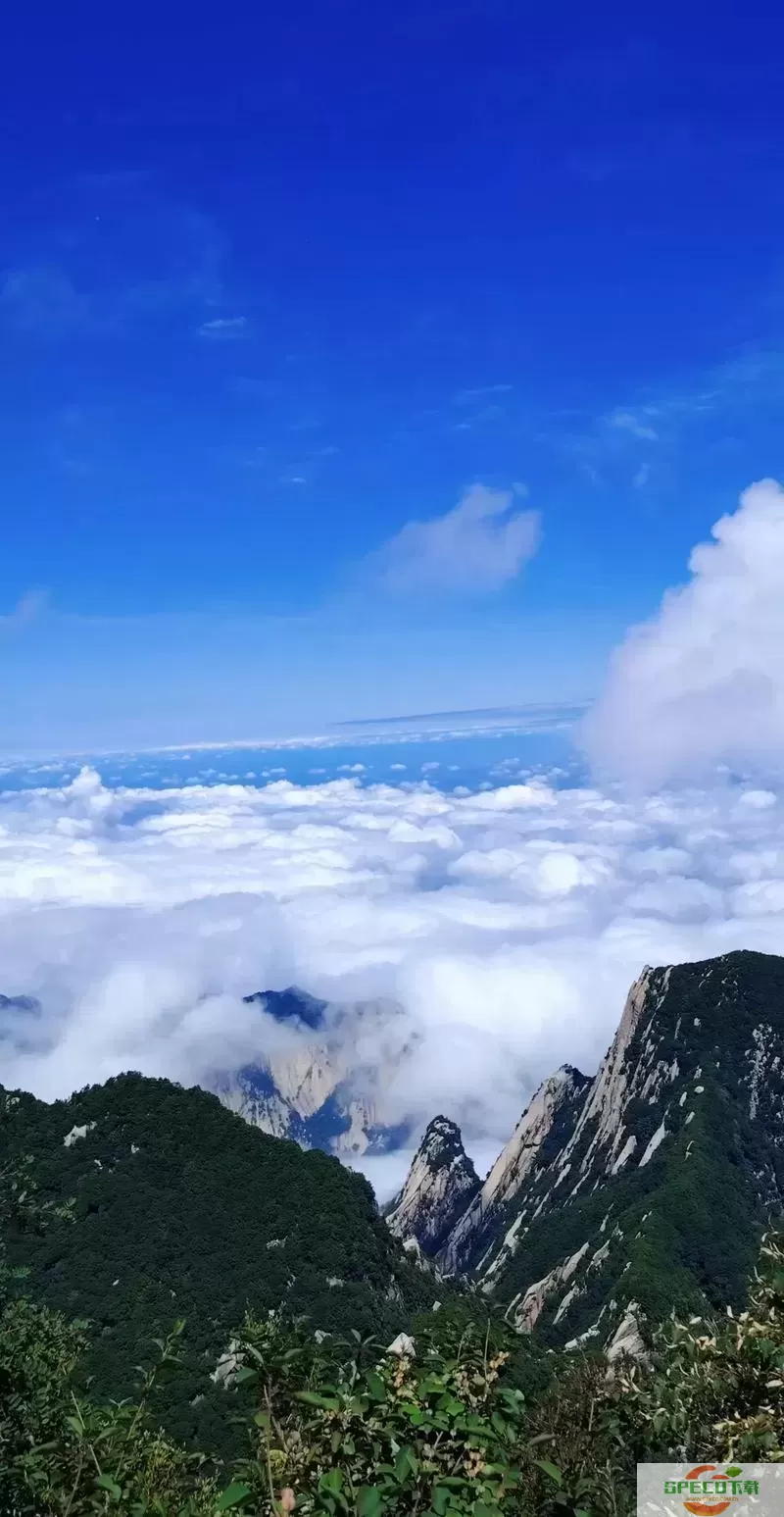 笑傲江湖手游华山