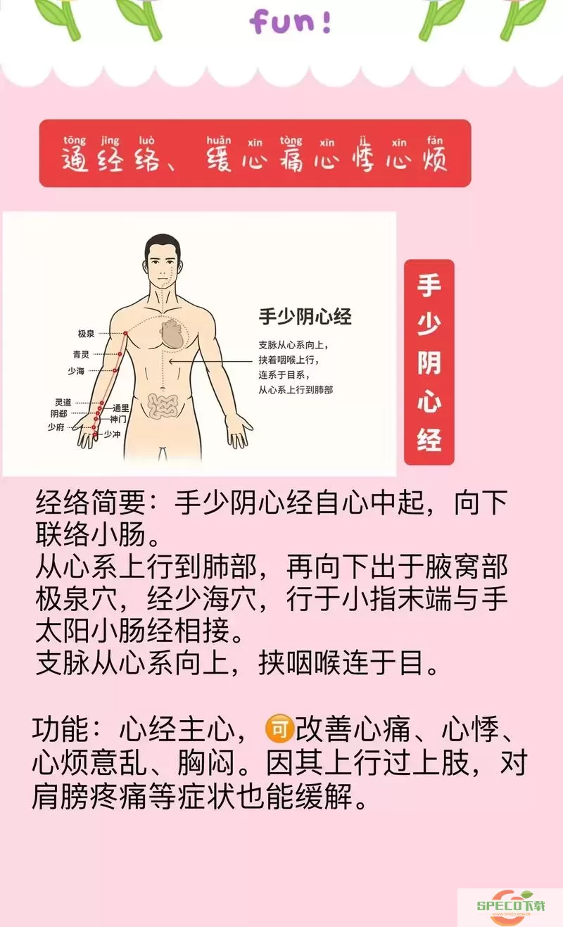 九阴真经唐门心佛开哪些经脉