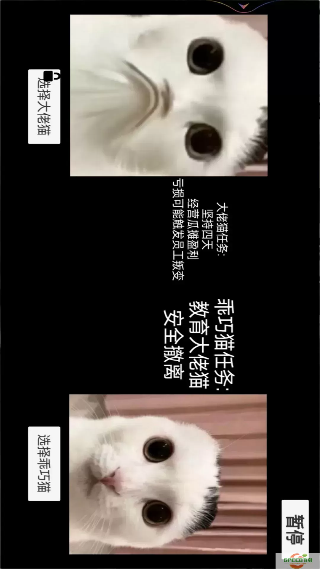 猫猫惊魂夜下载安卓