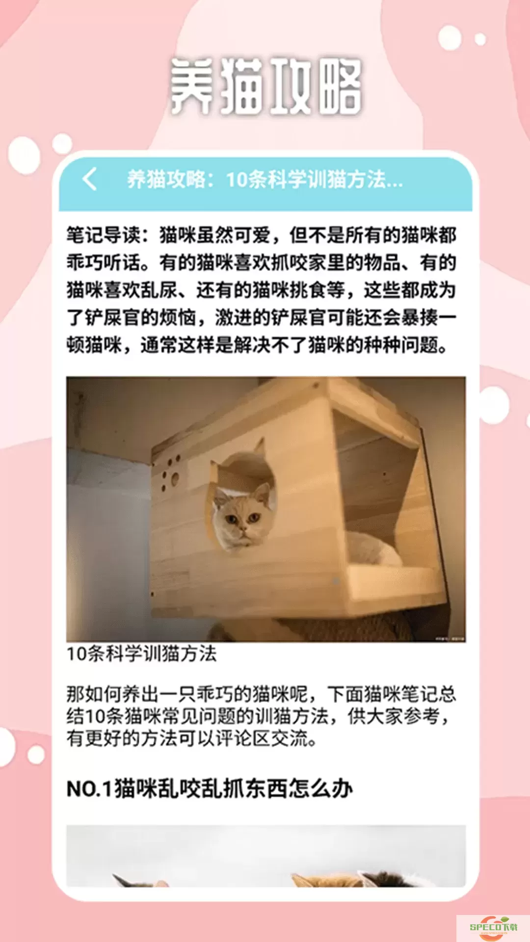 密聊猫咪下载官方正版