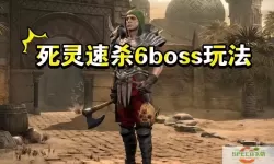 暗黑二死灵打六boss