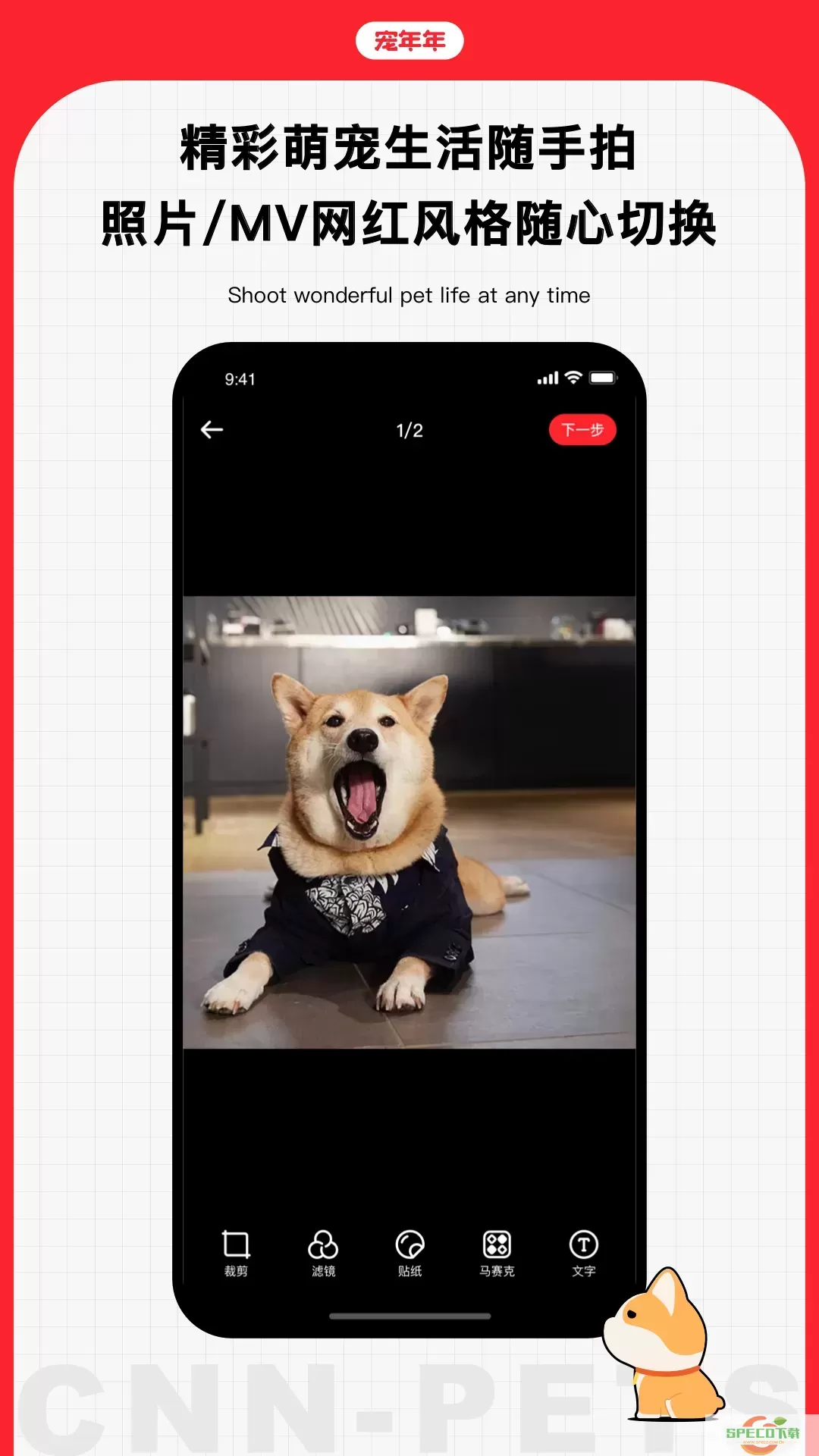 宠年年app最新版